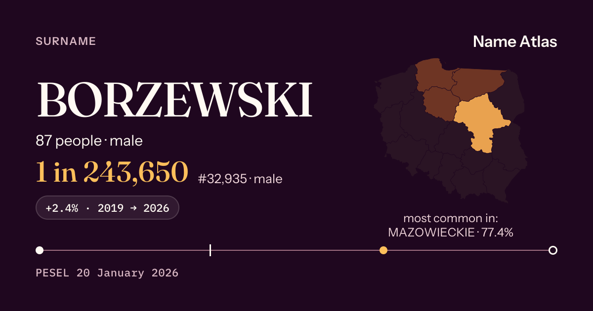 Surname card with figures from the PESEL register: BORZEWSKI