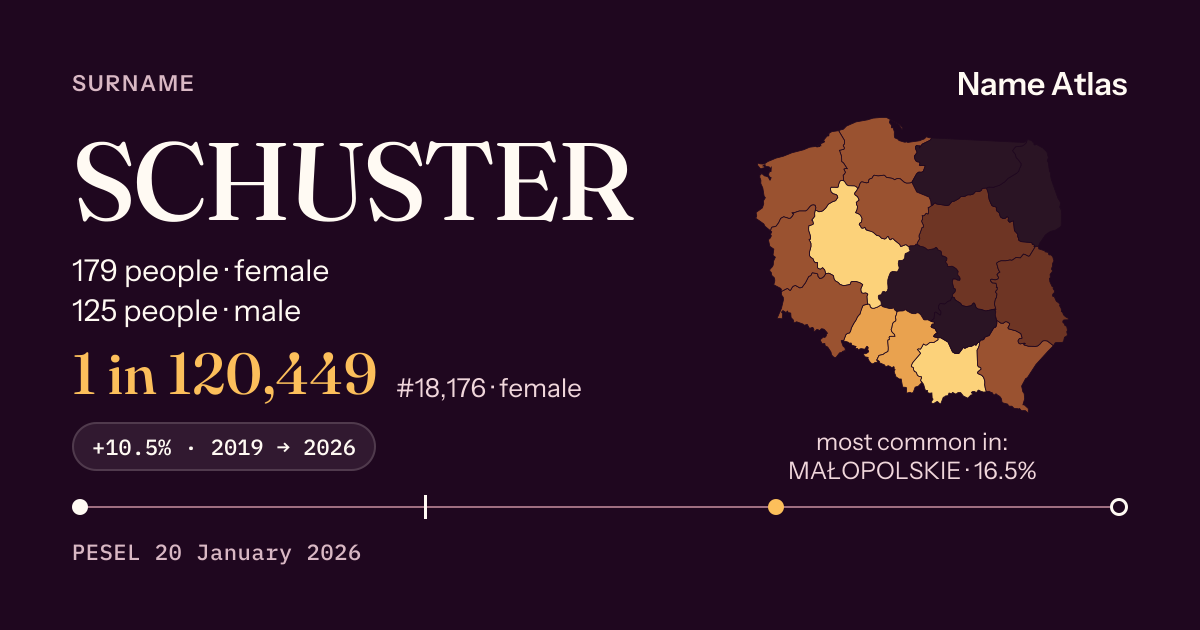 Surname card with figures from the PESEL register: SCHUSTER