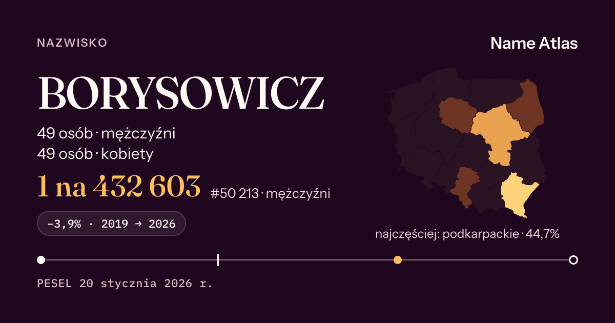 Karta nazwiska z liczbami z rejestru PESEL: BORYSOWICZ