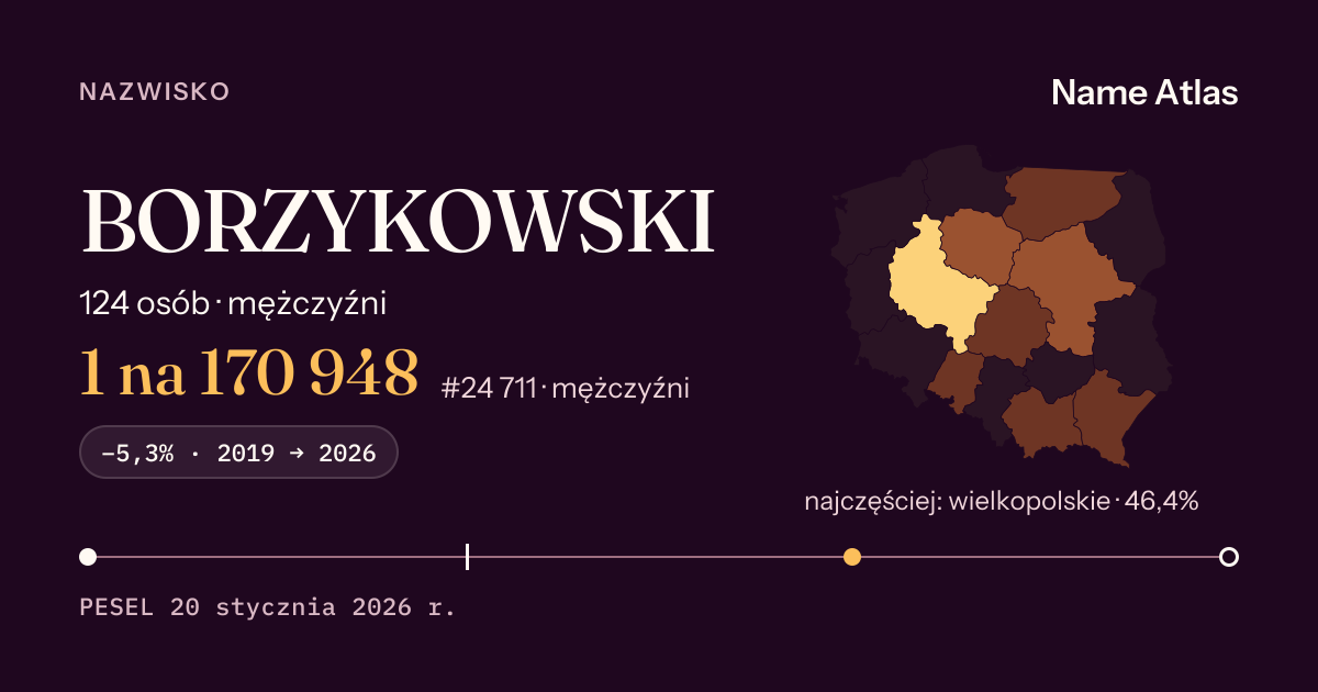 Karta nazwiska z liczbami z rejestru PESEL: BORZYKOWSKI