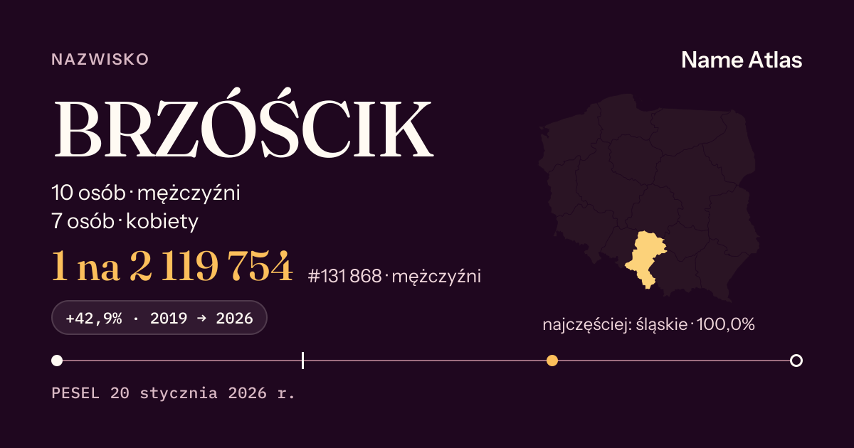 Karta nazwiska z liczbami z rejestru PESEL: BRZÓŚCIK