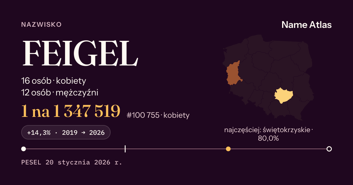 Karta nazwiska z liczbami z rejestru PESEL: FEIGEL